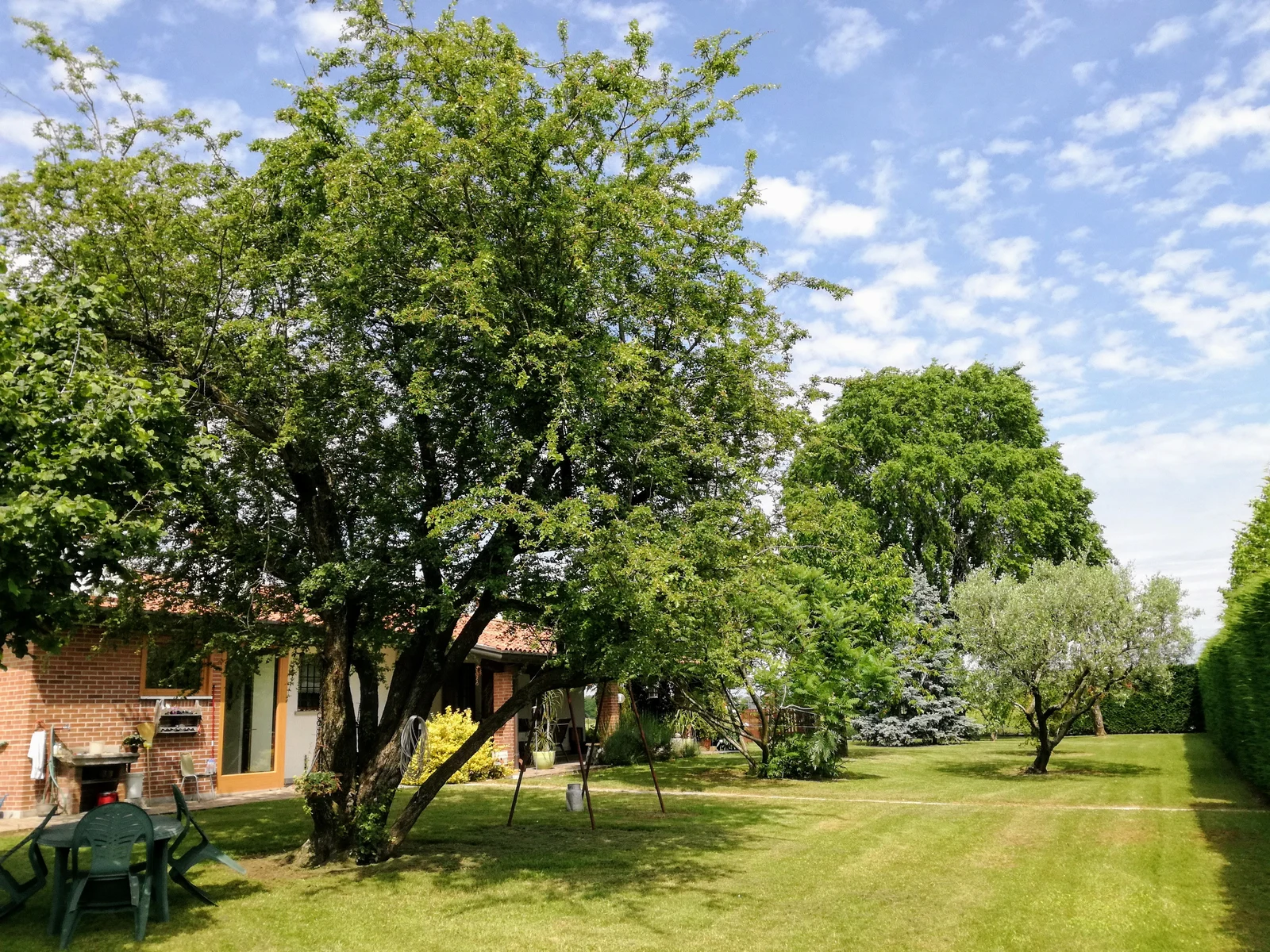 Tenuta Marangone