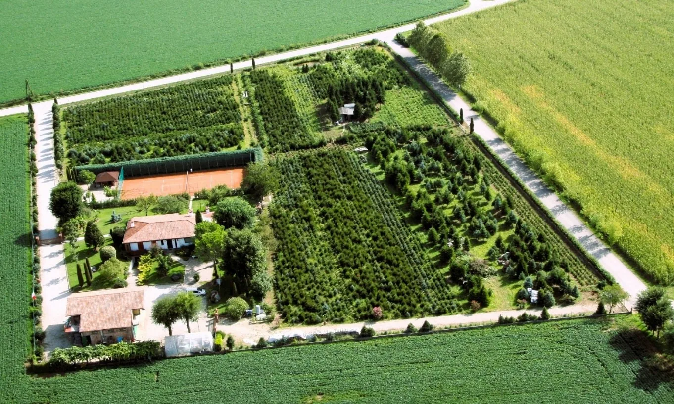 Tenuta Marangone 2.7 hectare aerial view